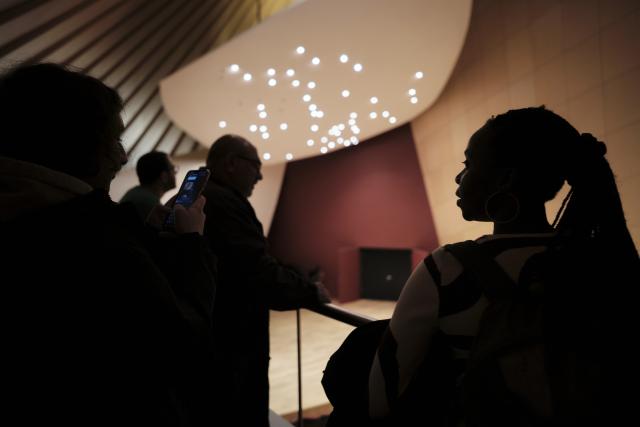 Des personnes de dos dans une salle de concert